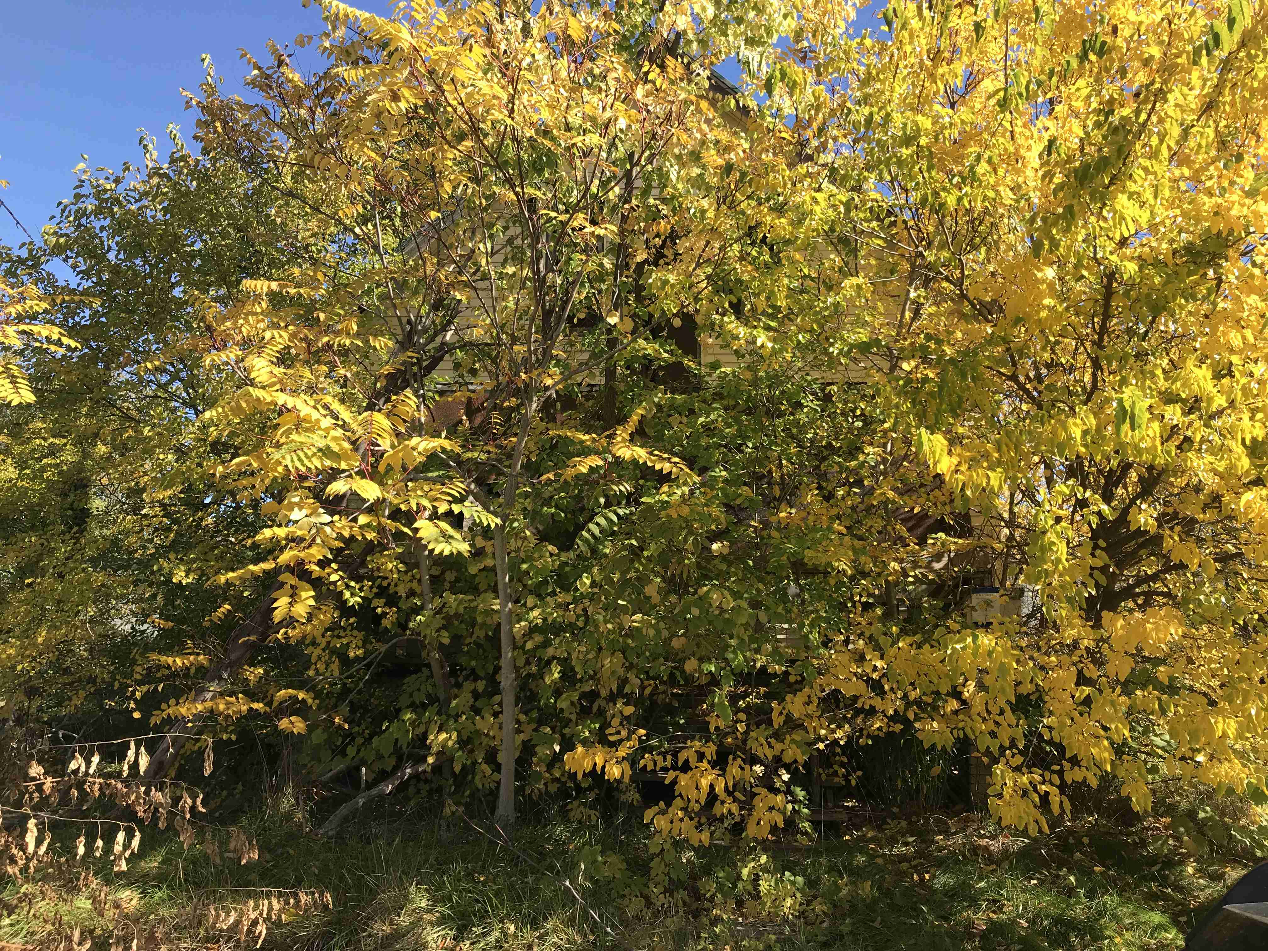 Photo Oct 13, 12 13 05 PM.jpg